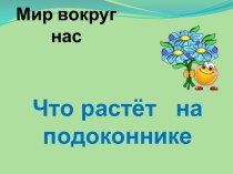 Что растёт на подоконнике