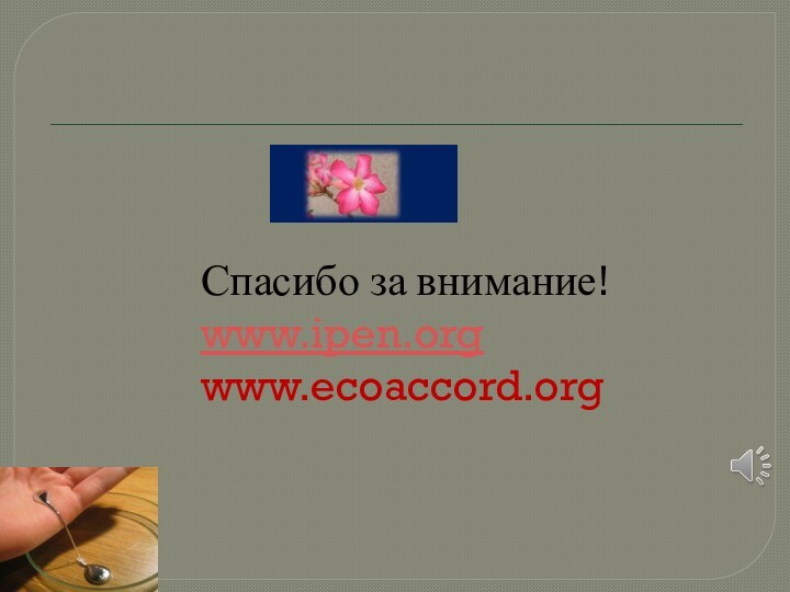 Спасибо за внимание! www.ipen.org www.ecoaccord.org