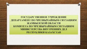 Виды стандартов государственных услуг, оказываемых комитетом по ЧС республики Казахстан