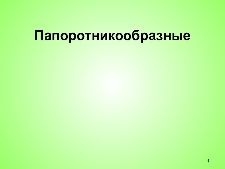 Папоротникообразные