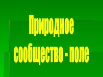 Природное сообщество - поле