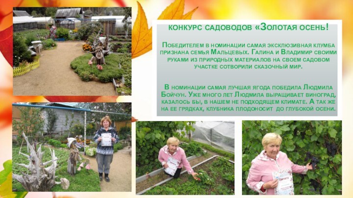 конкурс садоводов «Золотая осень!   Победителем в номинации самая эксклюзивная клумба