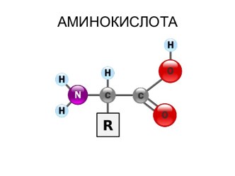 Аминокислота