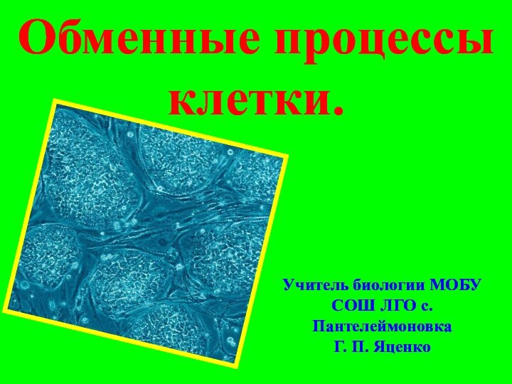 Обменные процессы клетки.Учитель биологии МОБУ СОШ ЛГО с. Пантелеймоновка Г. П. Яценко