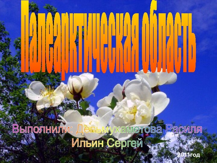 Выполнили: Дельмухаметова РасиляИльин Сергей2011годПалеарктическая область