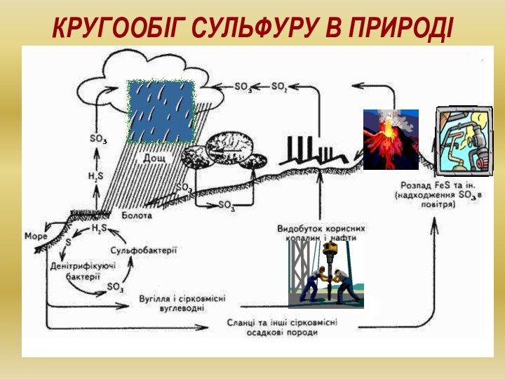 Кругообіг Сульфуру в природі