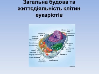 Загальнабудова та життєдіяльністьклітинеукаріотів