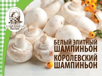 Шампиньоны от производителя