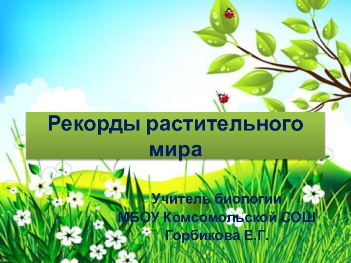 Рекорды растительного мираУчитель биологииМБОУ Комсомольской СОШГорбикова Е.Г.