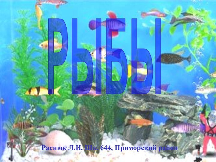 РЫБЫРаснюк Л.И. Шк. 644, Приморский район