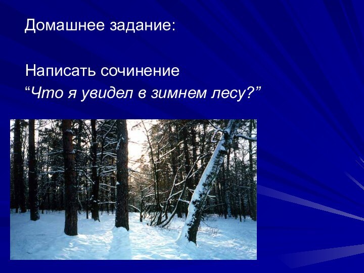 Домашнее задание:Написать сочинение “Что я увидел в зимнем лесу?”