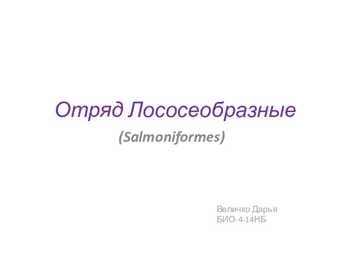Отряд Лососеобразные(Salmoniformes)Величко Дарья БИО-4-14НБ