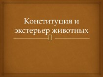 Конституция и экстерьер животных