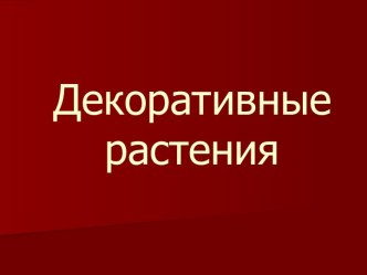 Декоративные растения