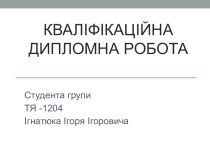 Кваліфікаційна дипломна робота