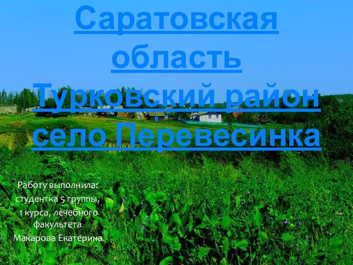 Саратовская область Турковский район село ПеревесинкаРаботу выполнила:студентка 5 группы, 1 курса, лечебного факультетаМакарова Екатерина