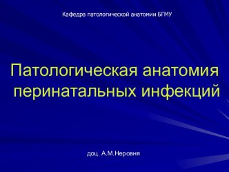 Патологическая анатомия перинатальных инфекций