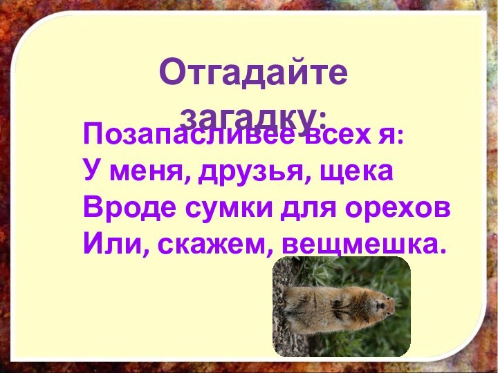 Позапасливее всех я: У меня, друзья, щека Вроде сумки для орехов Или, скажем, вещмешка. Отгадайте загадку: