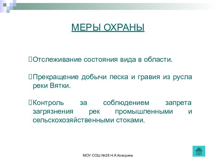 МОУ СОШ №28 Н.А.КокоринаМЕРЫ ОХРАНЫОтслеживание состояния вида в области.Прекращение добычи песка и