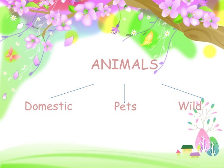 ANIMALS     PetsDomesticWild