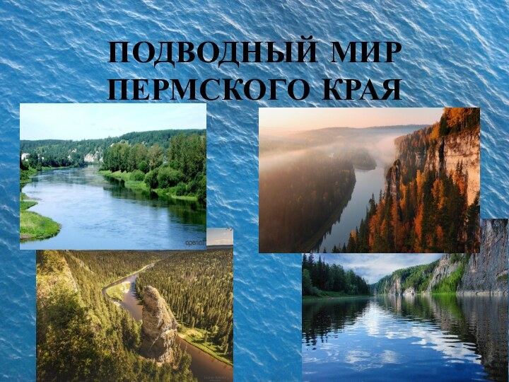 ПОДВОДНЫЙ МИР ПЕРМСКОГО КРАЯ