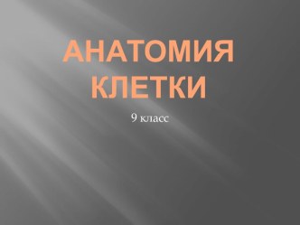 Анатомия клетки