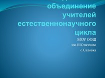 Методическое объединение учителей естественнонаучного цикла