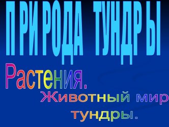 Природа Тундры