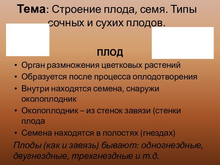 Тема: Строение плода, семя. Типы сочных и сухих плодов.ПЛОДОрган размножения цветковых растенийОбразуется