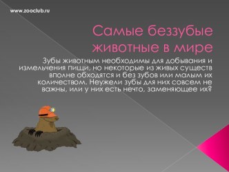 Самые беззубые животные в мире