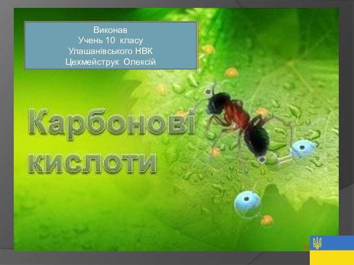 Виконав Учень 10 класуУлашанівського НВКЦехмейструк Олексій