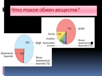 Что такое обмен веществ?