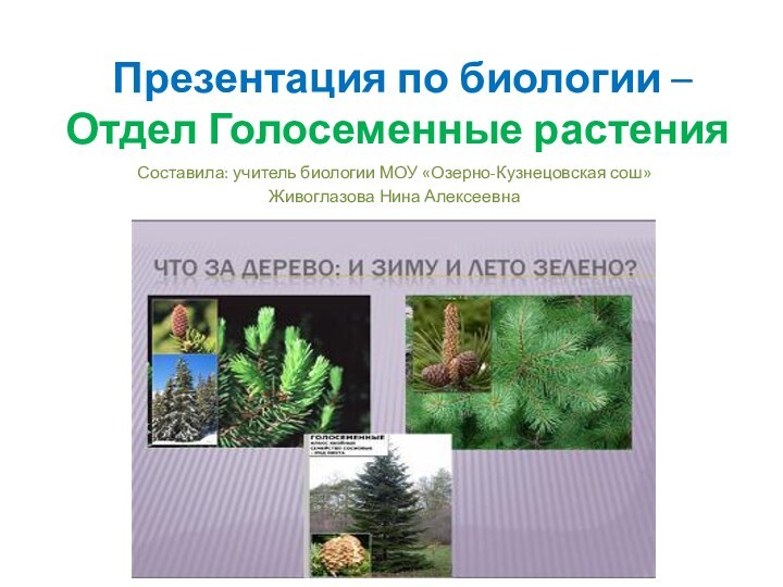 Презентация по биологии –  Отдел Голосеменные растенияСоставила: учитель биологии МОУ