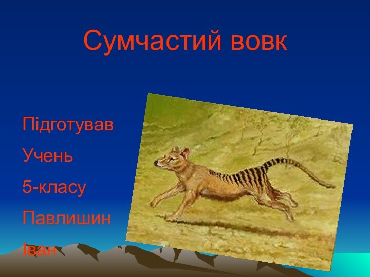 Сумчастий вовк ПідготувавУчень5-класу ПавлишинІван