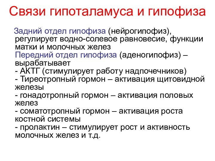 Связи гипоталамуса и гипофиза   Задний отдел гипофиза (нейрогипофиз), регулирует водно-солевое