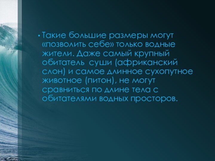 Такие большие размеры могут «позволить себе» только водные жители. Даже самый крупный