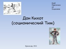 Дон Кихот (соционический Тим)