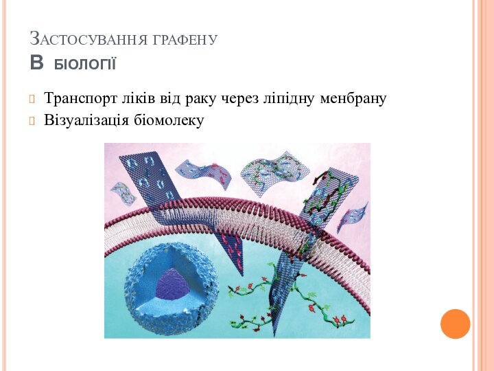 Застосування графену В біологіїТранспорт ліків від раку через ліпідну менбрануВізуалізація біомолеку