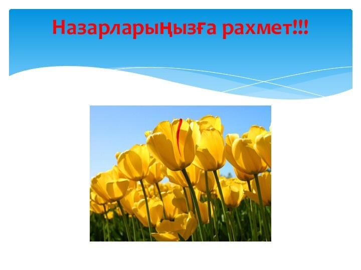 Назарларыңызға рахмет!!!