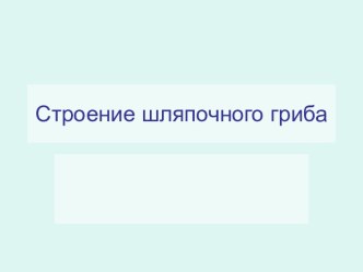 Строение шляпочного гриба