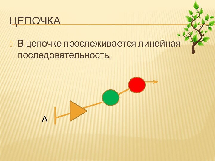 Линейная последовательность. Дерево. Предыдущие вершины. Урок на тему дерево.предыдущие вершины. Дерево. Следующие и предыдущие вершины, листья. 4 Класс видео урок.