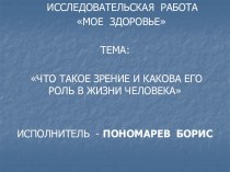 Что такое зрение и какова его роль а жизни человека