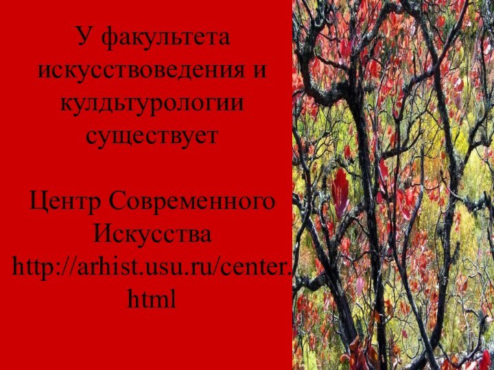 У факультета искусствоведения и кулдьтурологии существует   Центр Современного Искусства http://arhist.usu.ru/center.html