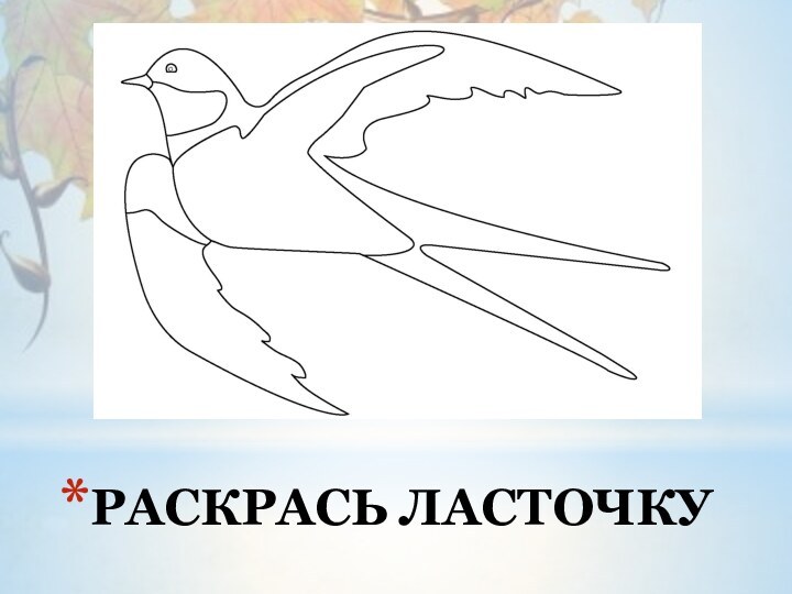 РАСКРАСЬ ЛАСТОЧКУ