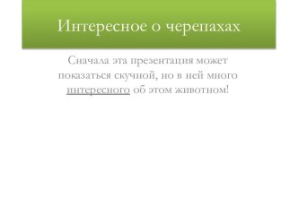 Интересное о черепахах