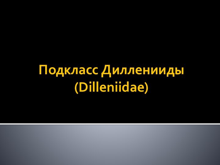 Подкласс Дилленииды (Dilleniidae)