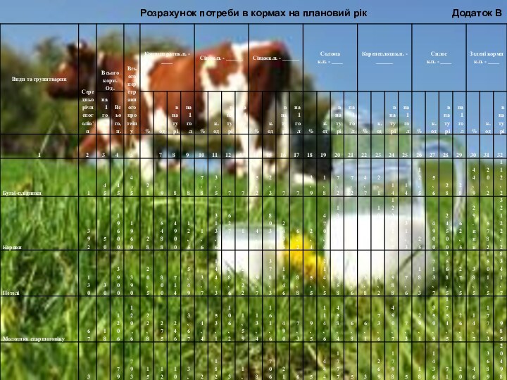 Розрахунок потреби в кормах на плановий рікДодаток В