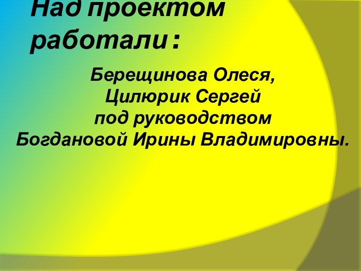 Над проектом работали :Берещинова Олеся,Цилюрик Сергейпод руководством Богдановой Ирины Владимировны.