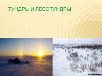 Тундры и лесотундры