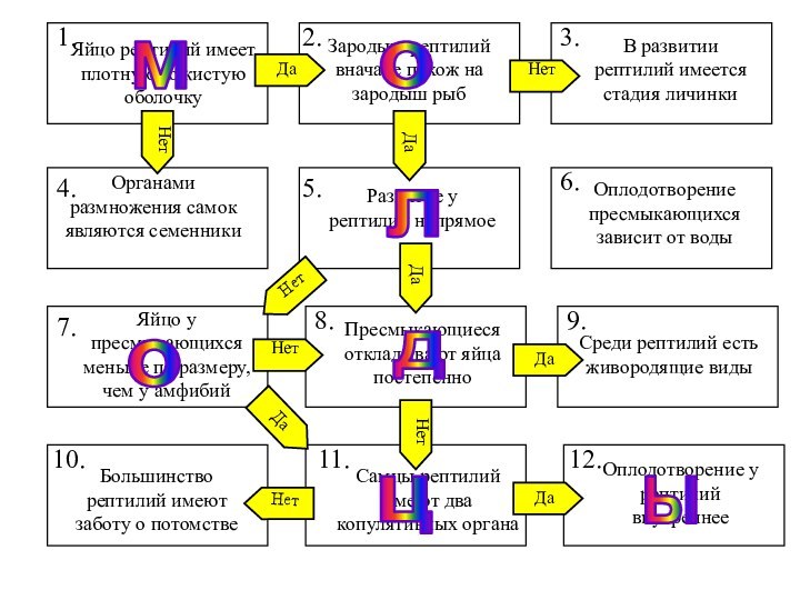 Оплодотворение у рептилий внутреннееЯйцо у пресмыкающихся меньше по размеру, чем у амфибийЗародыш